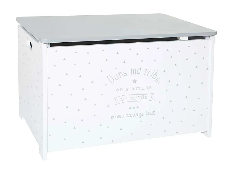 WELL HOME - Malle bébé blanc et gris 58 x 37,5 x 38 cm