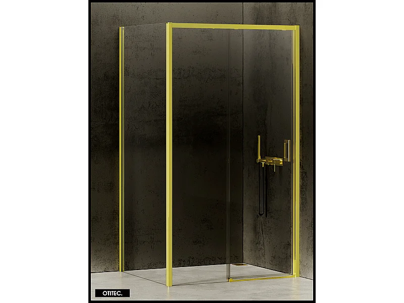 Porte de Douche avec Paroi Latérale - 160 x 70 x 200 - OR LÉGER - PRIME - GAUCHE