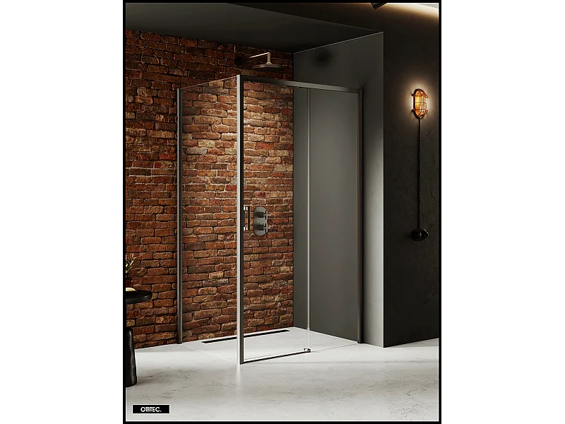 Porte de Douche avec Paroi Latérale (ouverture depuis l'angle) - 160 x 80 x 200 - GUNMETAL - PRIME - DROITE