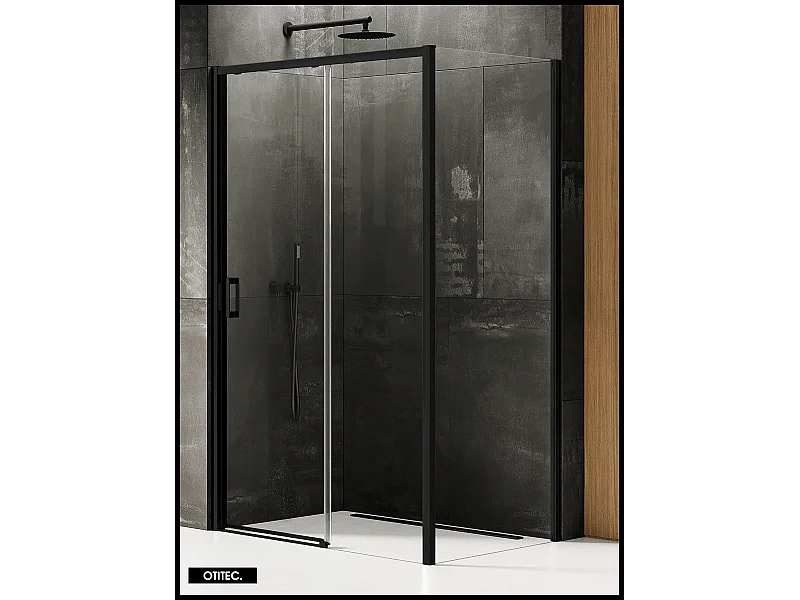 Porte de Douche avec Paroi Latérale - 160 x 100 x 200 - NOIR MAT - PRIME - DROITE