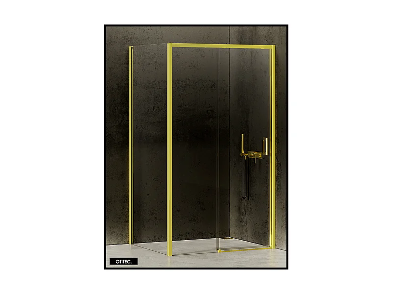 Porte de Douche avec Paroi Latérale - 100 x 80 x 200 - OR LÉGER - PRIME - DROITE