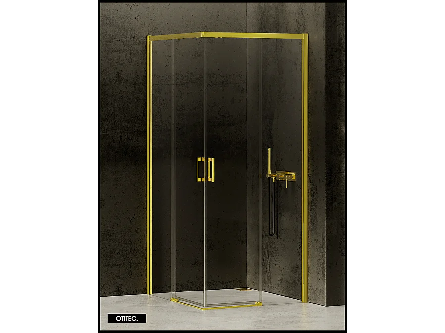 Porte de Douche Coulissante avec Paroi Latérale - 70 x 120 x 200 - OR LÉGER - PRIME