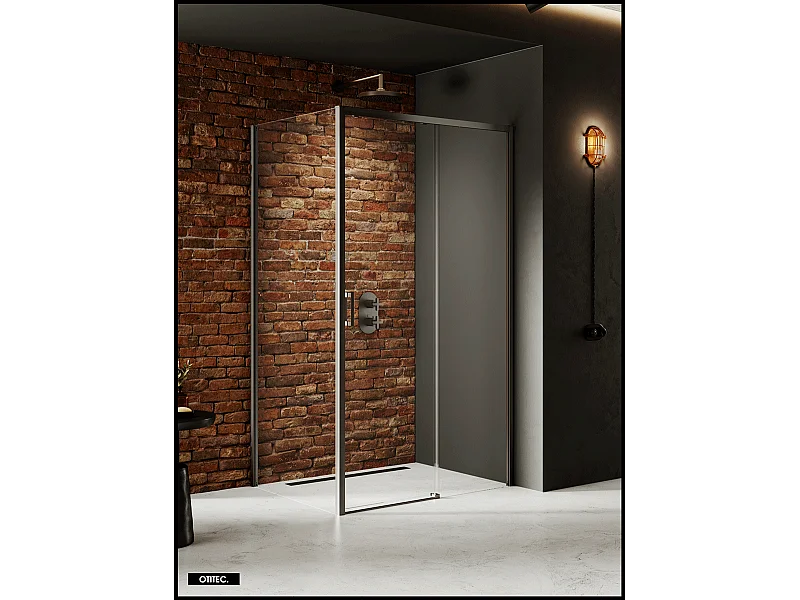 Porte de Douche avec Paroi Latérale (ouverture depuis l'angle) - 110 x 80 x 200 - GUNMETAL - PRIME - DROITE