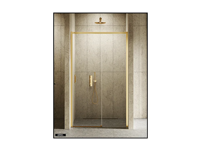Porte de Douche avec Paroi Latérale - 120 x 200 - OR BROSSÉ - PRIME - DROITE