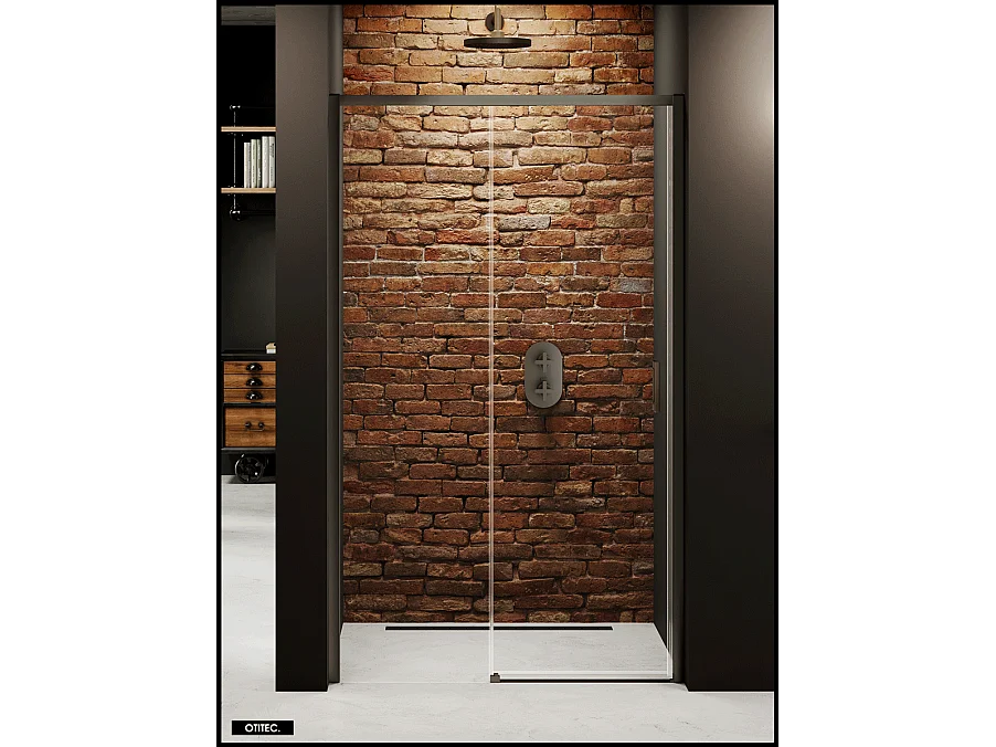 Porte de Douche avec Paroi Latérale - 160 x 200 - GRIS - PRIME - GAUCHE