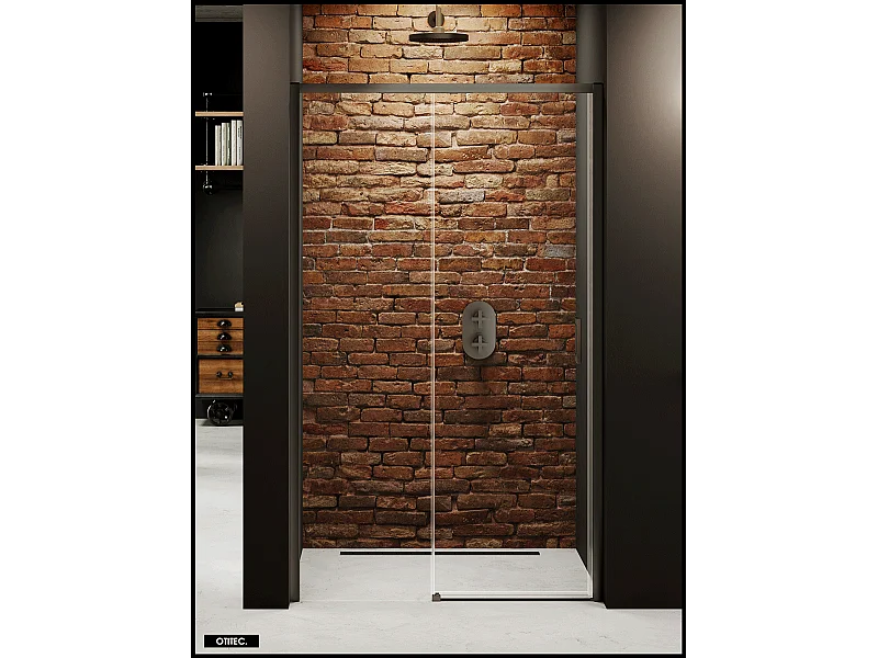 Porte de Douche avec Paroi Latérale - 160 x 200 - GRIS - PRIME - GAUCHE
