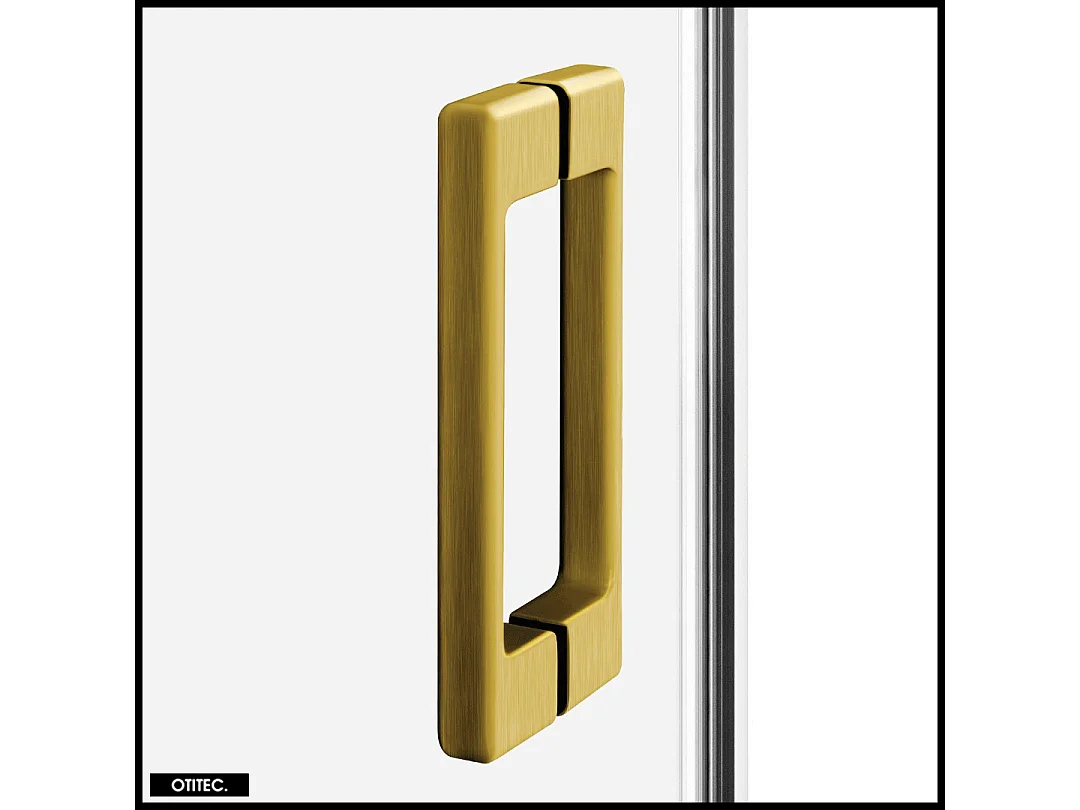 Porte de Douche avec Paroi Latérale - 110 x 200 - OR BROSSÉ - PRIME - GAUCHE