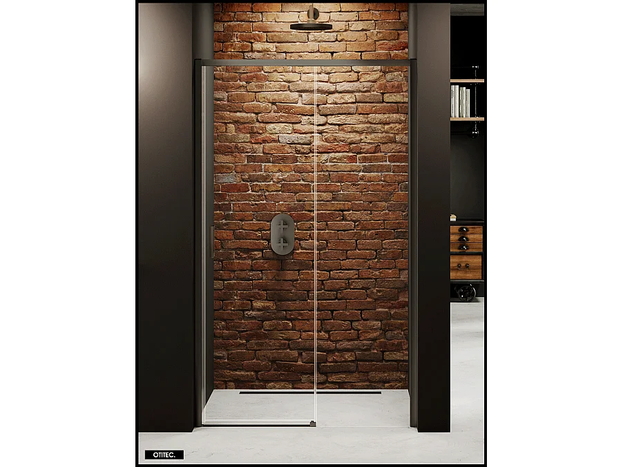 Porte de Douche avec Paroi Latérale - 100 x 200 - GRIS - PRIME - DROITE