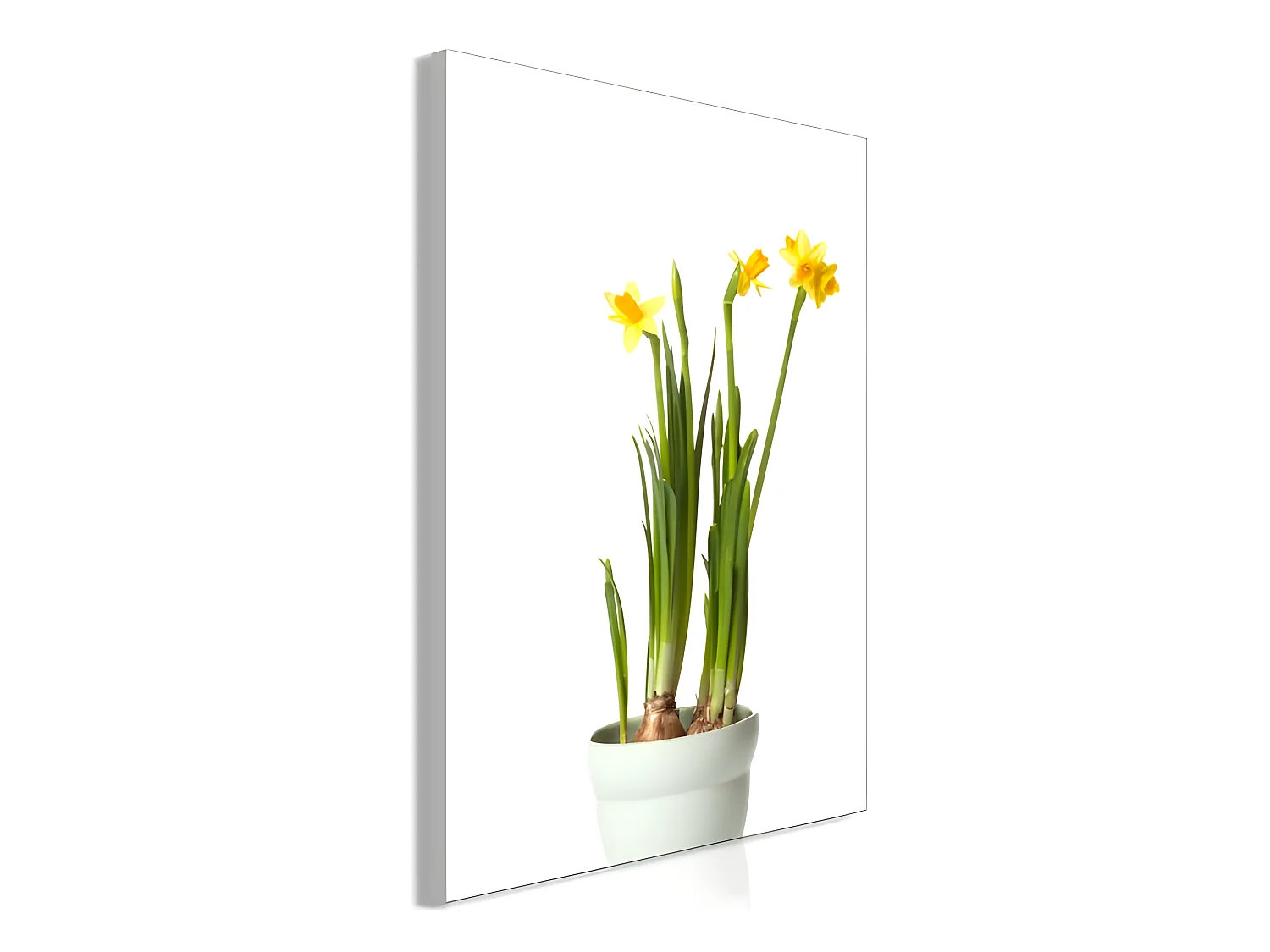 Tableau Fleurs Narcissus (1 Part) Vertical 60x90 cm