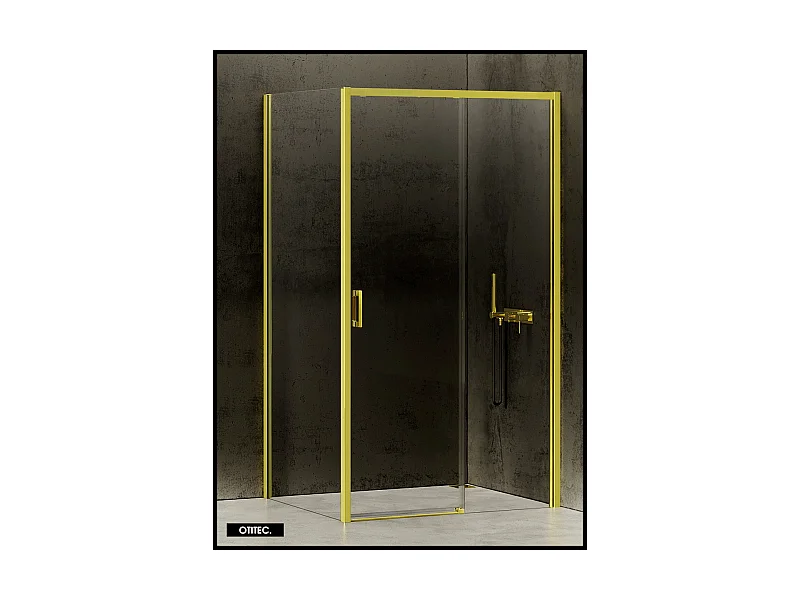 Porte de Douche avec Paroi Latérale (ouverture depuis l'angle) - 110 x 100 x 200 - OR LÉGER - PRIME - DROITE