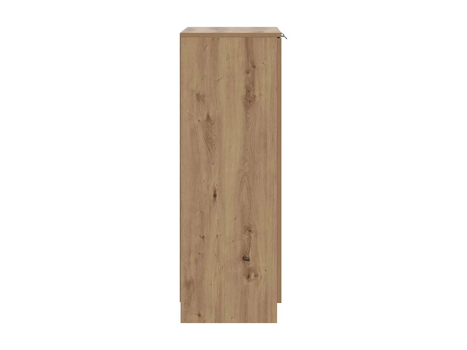 Schoenenkast 59x35x100,5 cm bewerkt hout artisanaal eikenkleur
