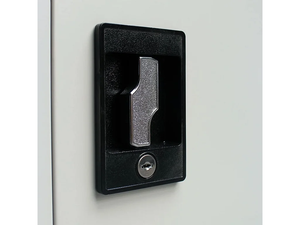 Armoire de bureau avec 2 portes Acier 90 x 40 x 180 cm Gris