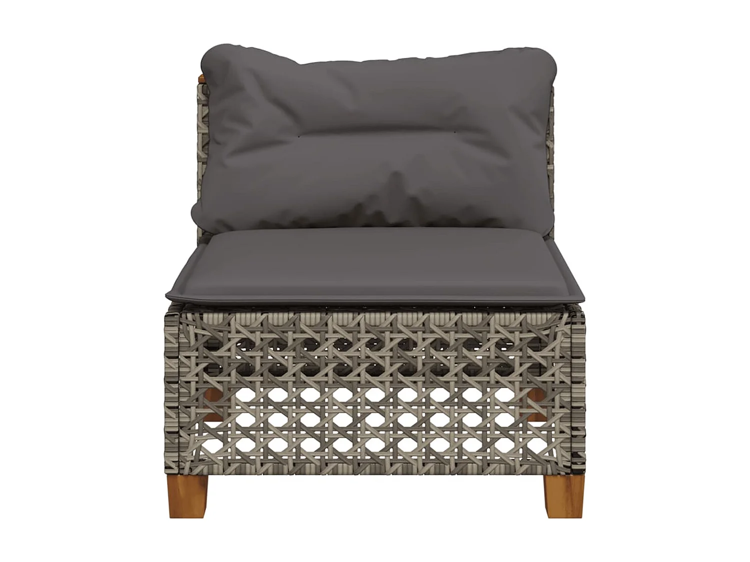 Canapé de jardin sans accoudoirs coussins gris résine tressée