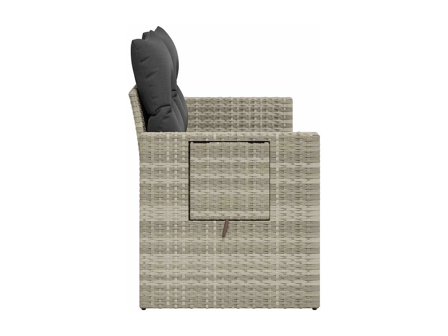 Tuinbank 2-zits met kussens poly rattan lichtgrijs