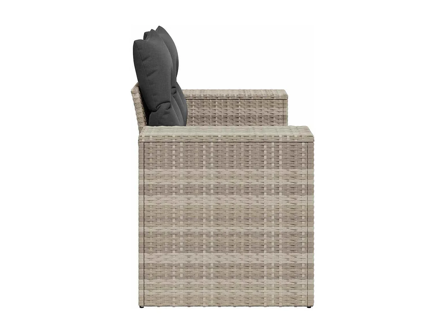 Canapé de jardin 2 places et coussins gris clair résine tressée