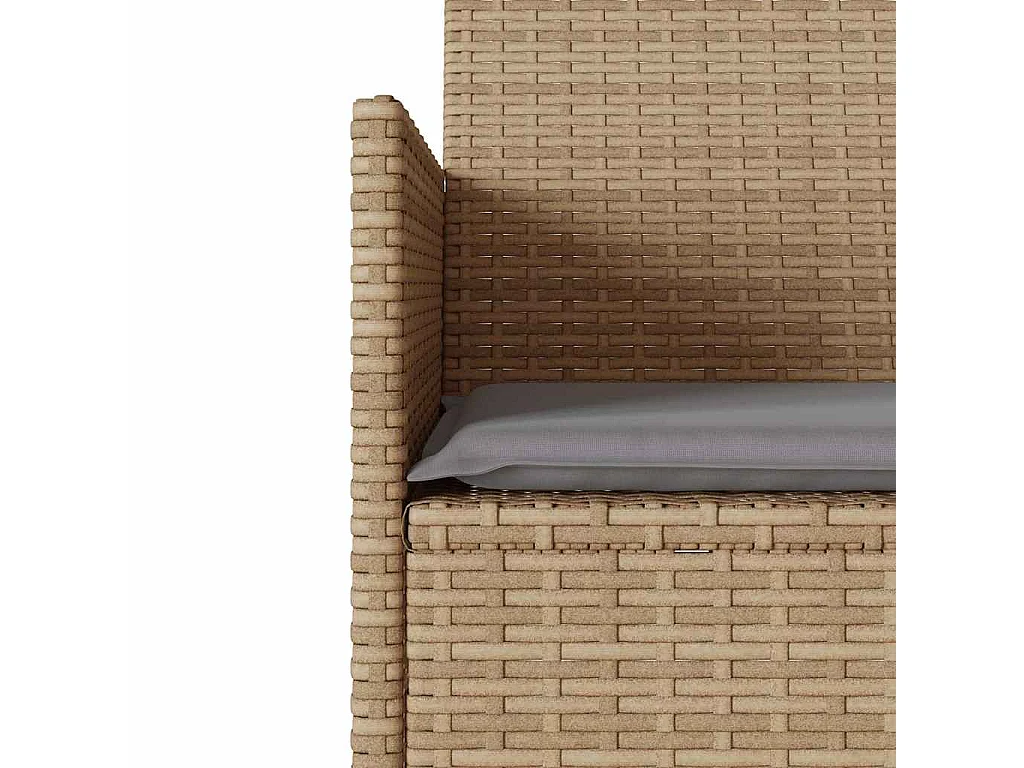 Gartensofa 2-Sitzer mit Tisch und Kissen Beige Poly Rattan