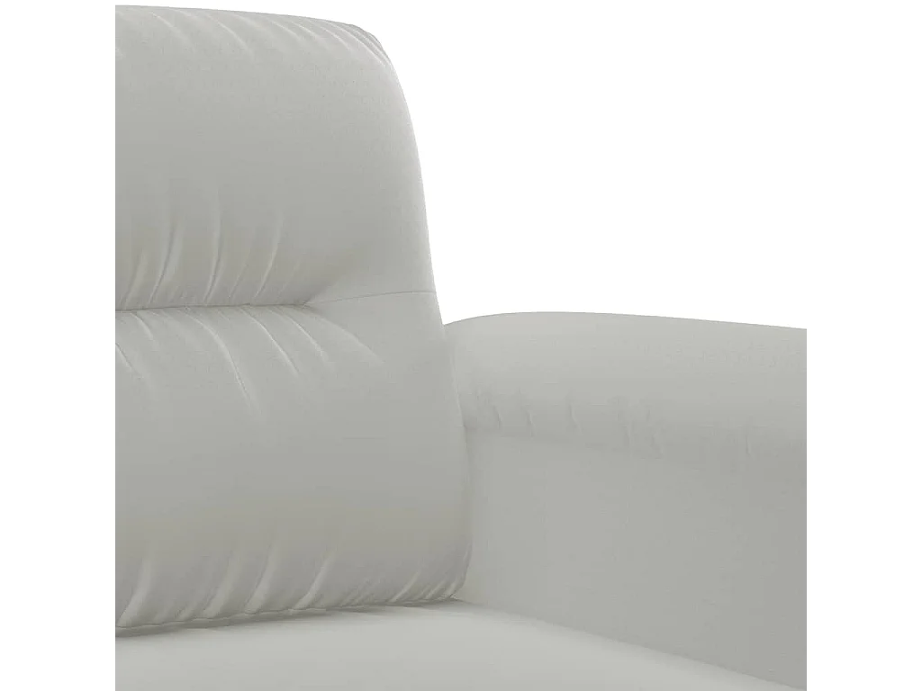 Ensemble de canapés 2 pcs coussins Gris clair Tissu microfibre