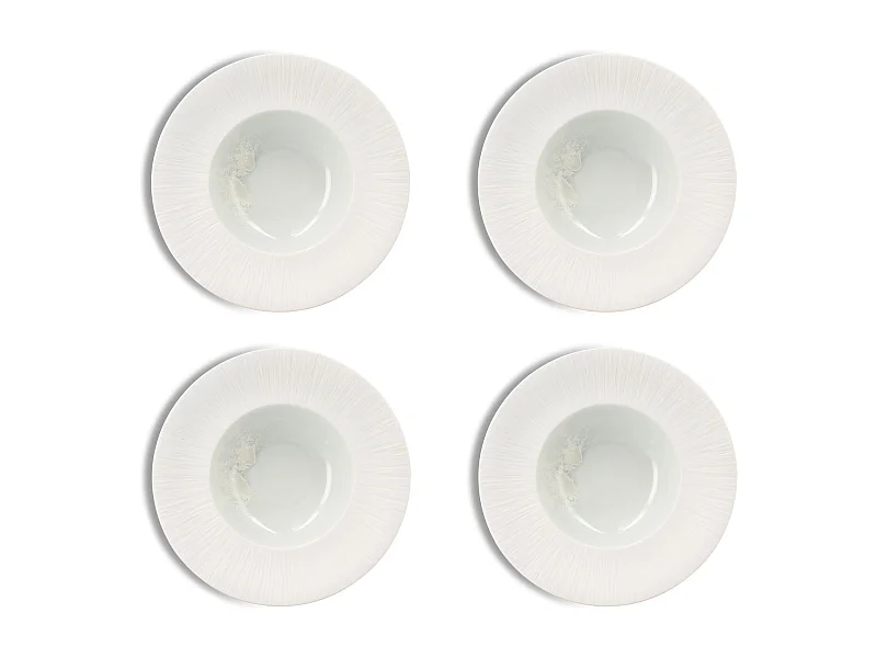 Ogo Living - Lot 4 Assiettes Gourmet Urus 23.5cm En Porcelaine Bleu Et Blanc