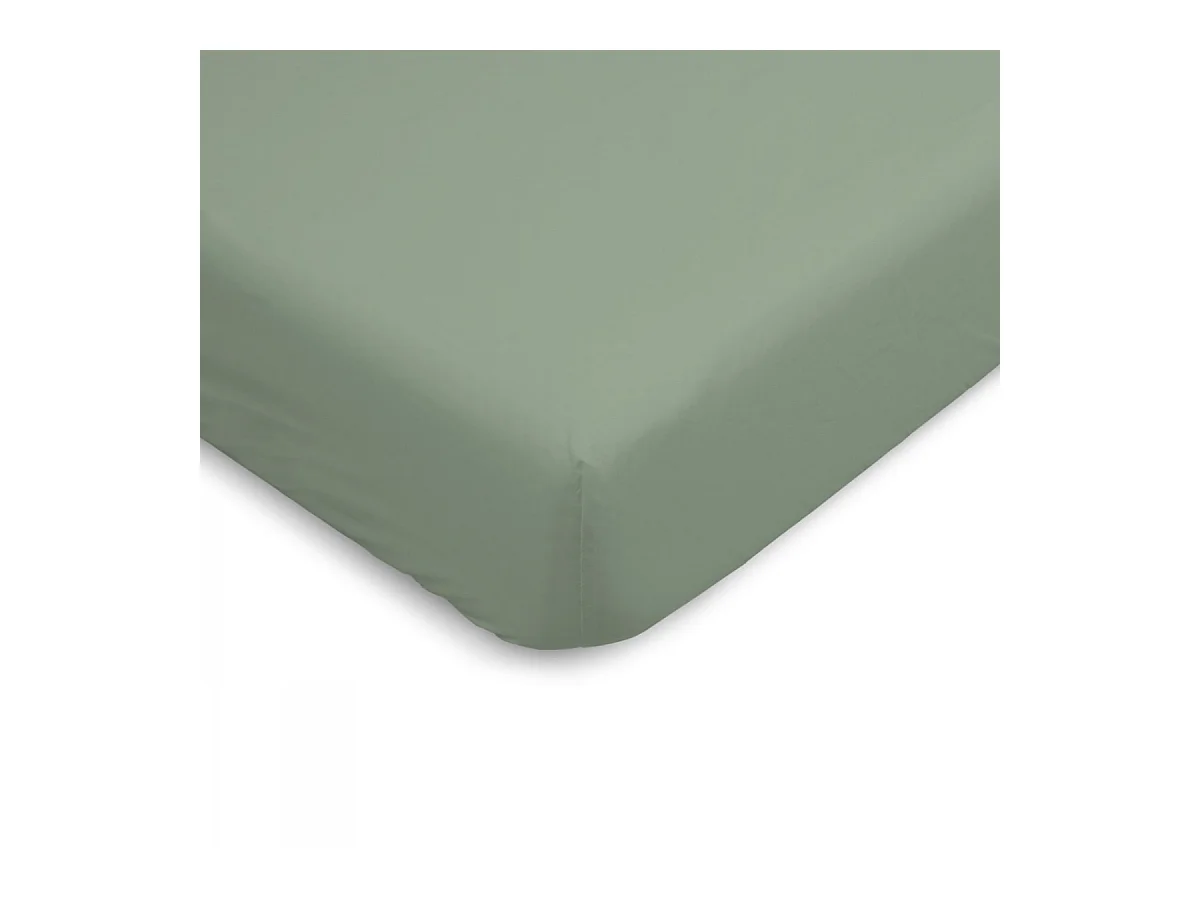 Drap housse uni 100% Percale de coton - Sauge - 90x190cm