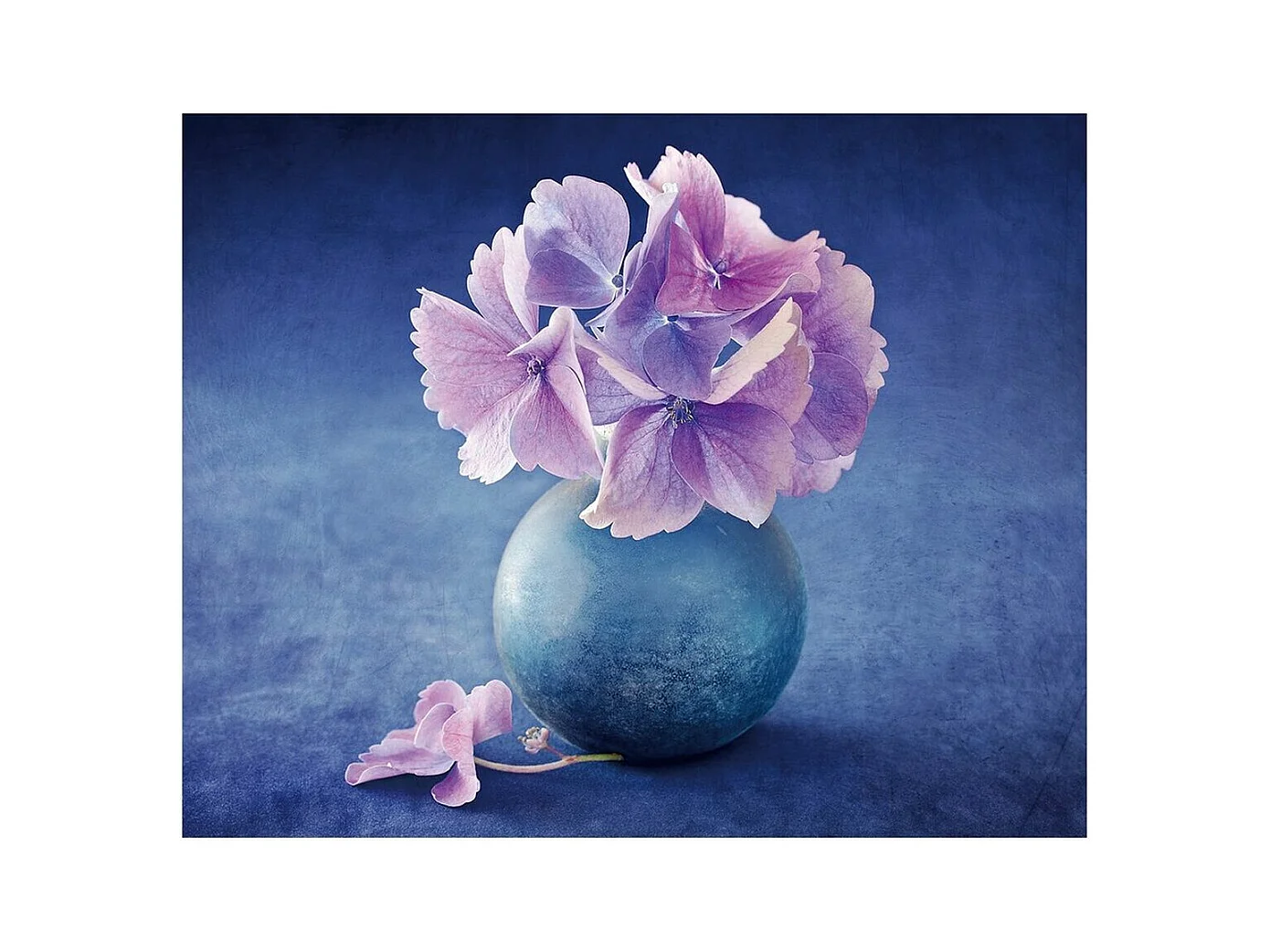Cadre Violet Rose 100 x 3 x 80 cm