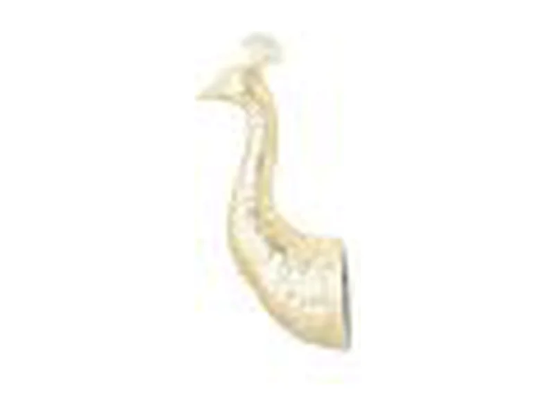 Furnilux Wanddekoration - Gold - Pavo Design