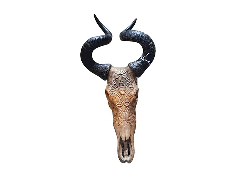 Bullenschädel Furnilux - Beige - 14x11x39 cm - Klein