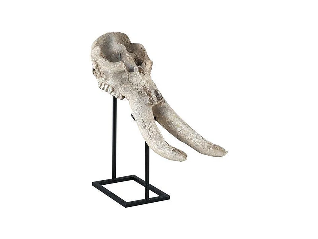 Statue Crâne Furnilux Terra - Poly Beige Blanc - Design Antique