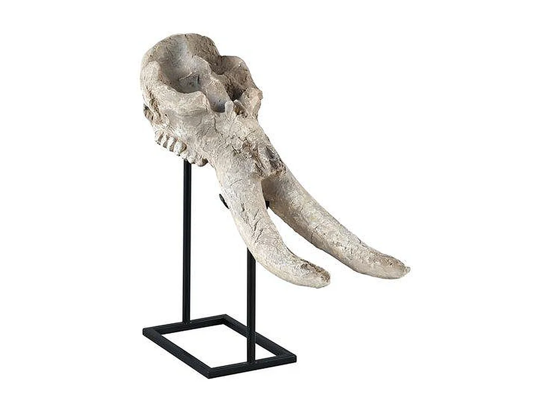 Statue Crâne Furnilux Terra - Poly Beige Blanc - Design Antique