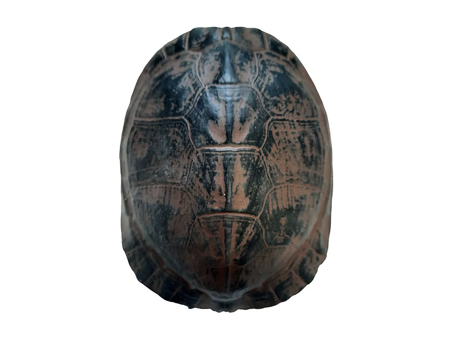 Kattenhuis Furnilux - Bruin Schildpadprint - Small