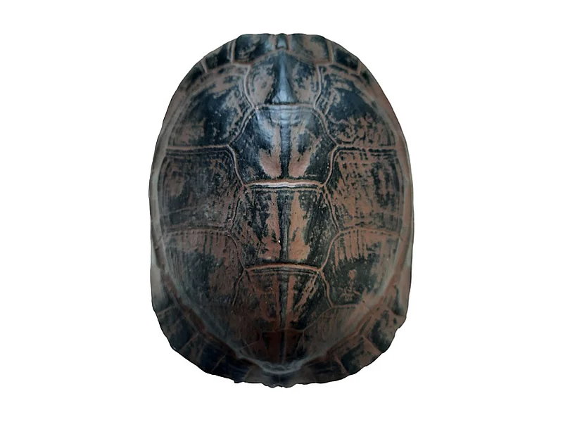 Furnilux Katzenhaus - Brauner Schildkrötenaufdruck - Klein