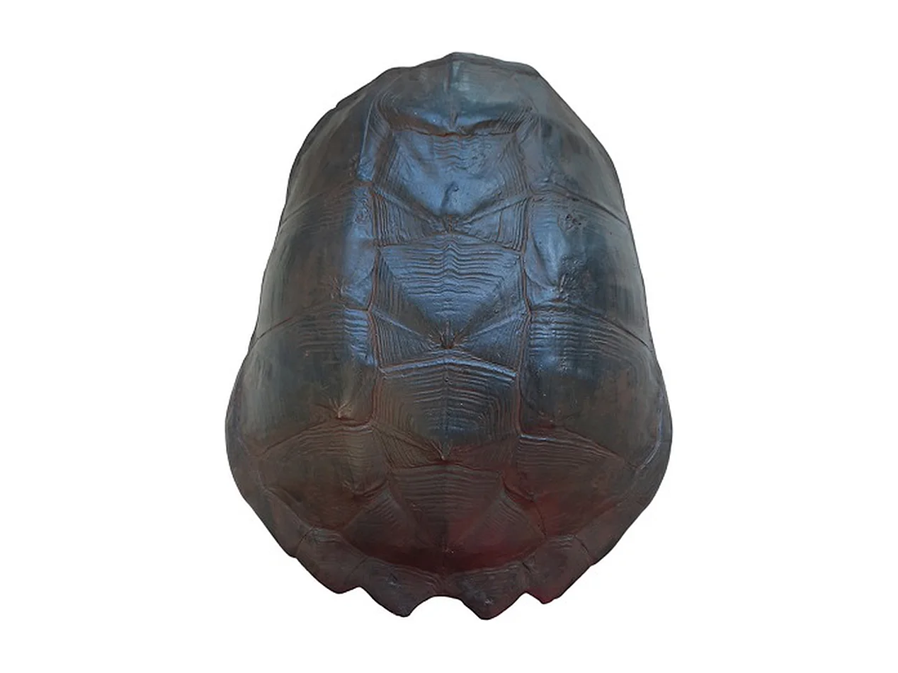 Statue - Marron imprimé tortue - Grand modèle