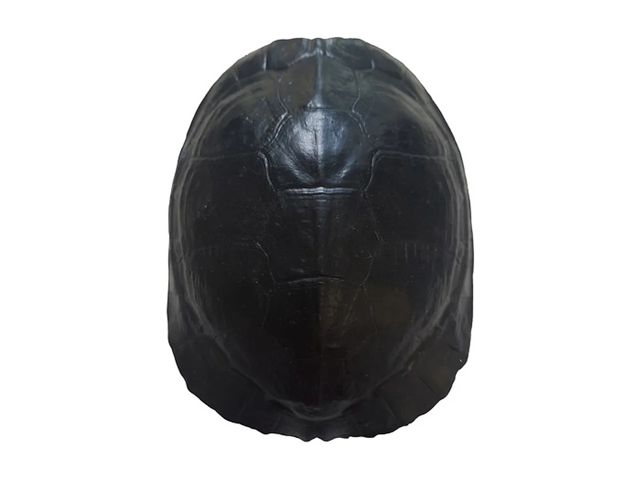 Statue - Furnilux Katana - Noir et Tortue - Taille Small