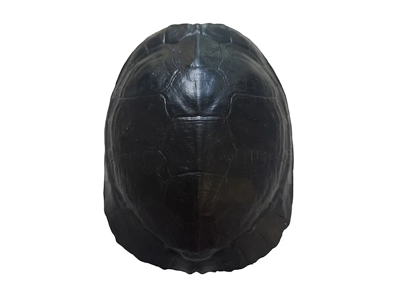 Furnilux Katzenhaus - Schwarz und Schildpatt - Klein