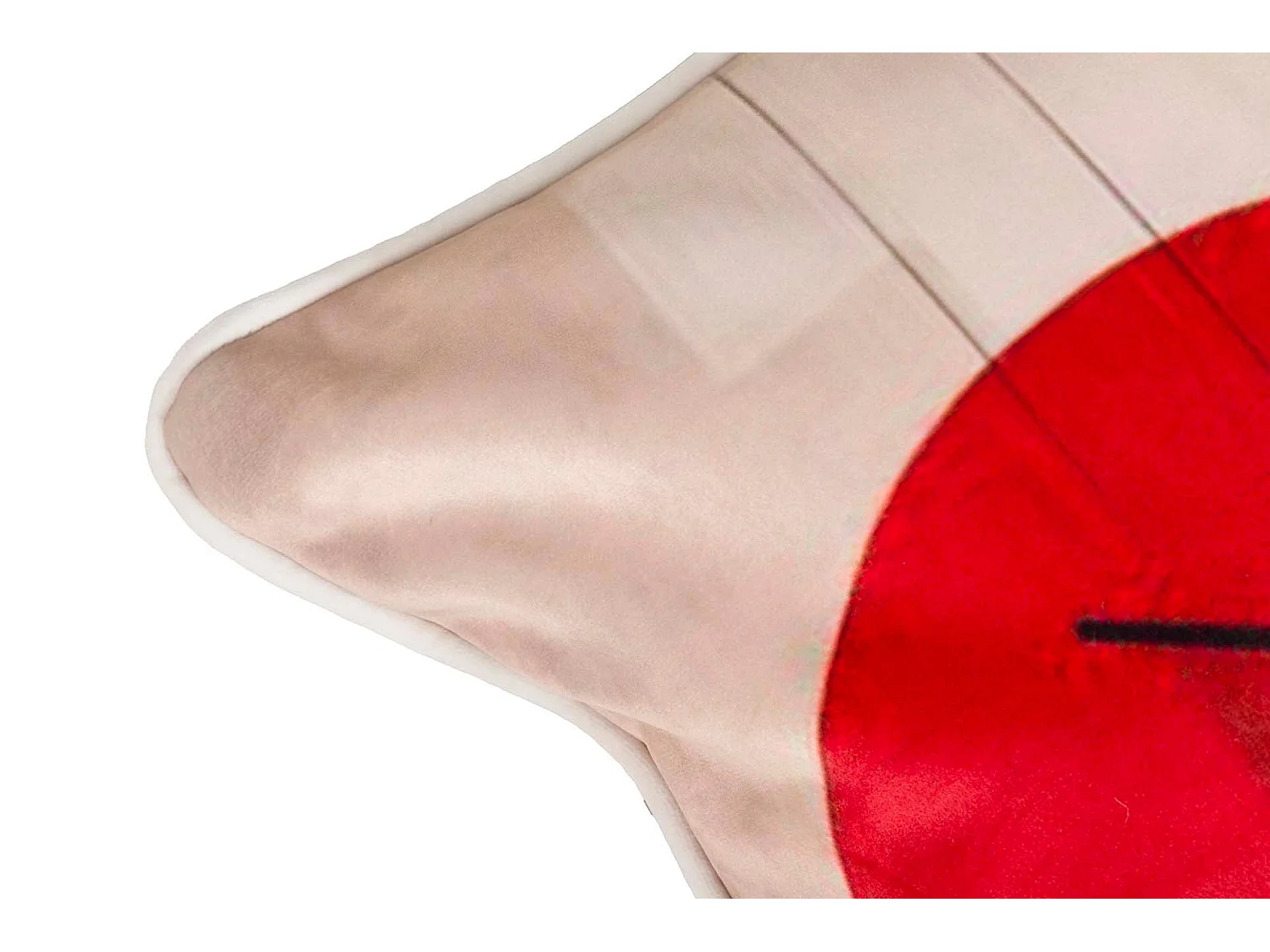 Cojín Velvet Señora 45x13x45 Cm