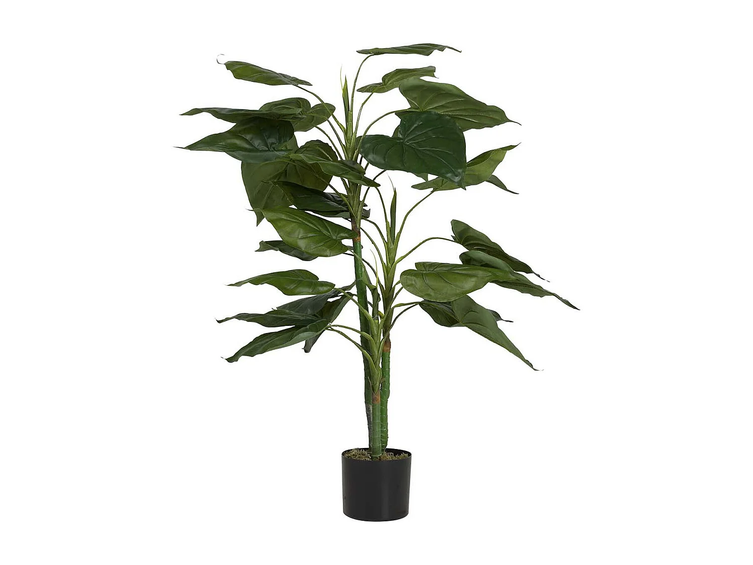 Planta Artificial Taro Con Maceta 65x65x120 Cm
