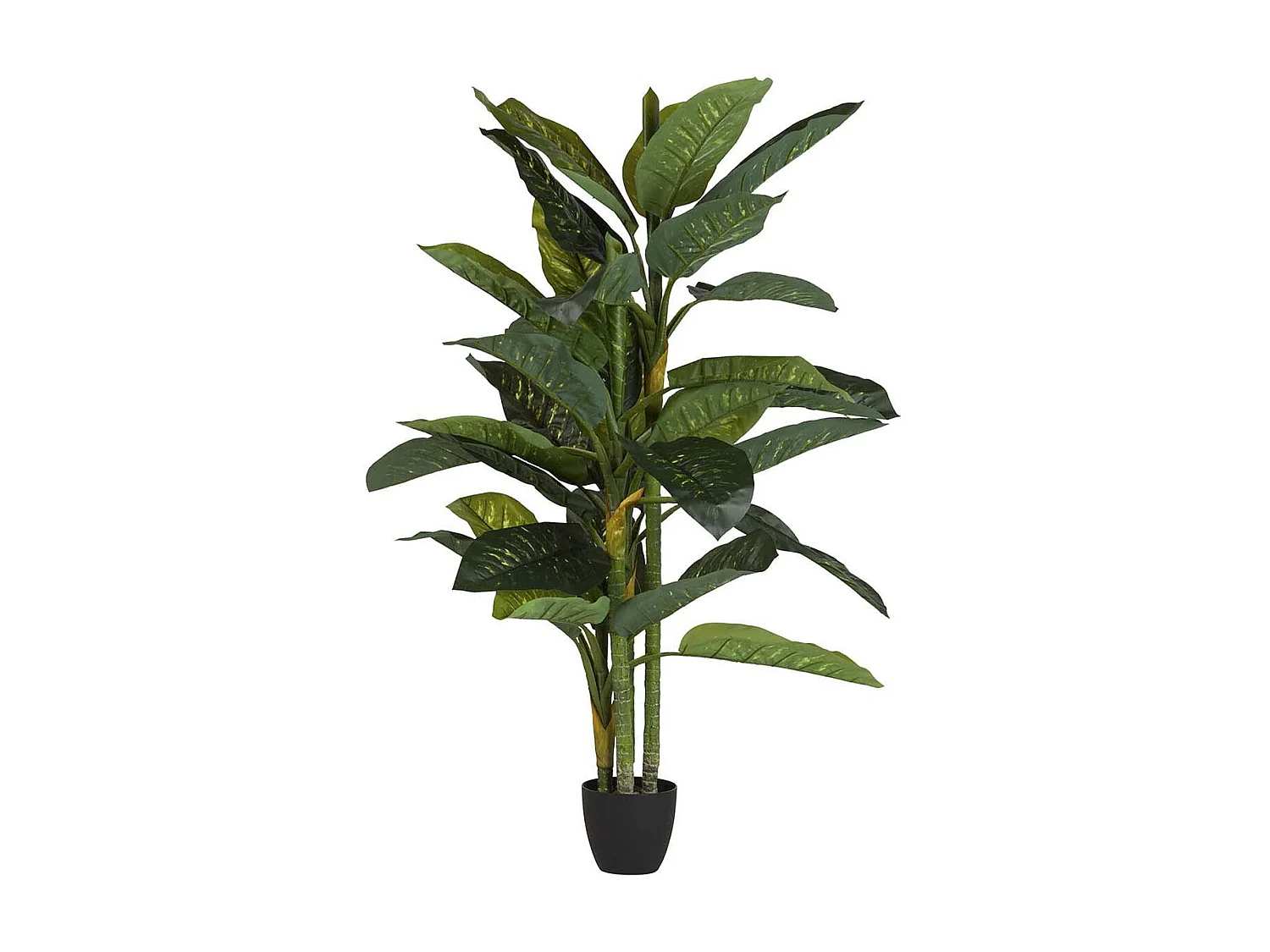 Planta Artificial Dieffenbachia Amoena Con Maceta 70x70x160cm