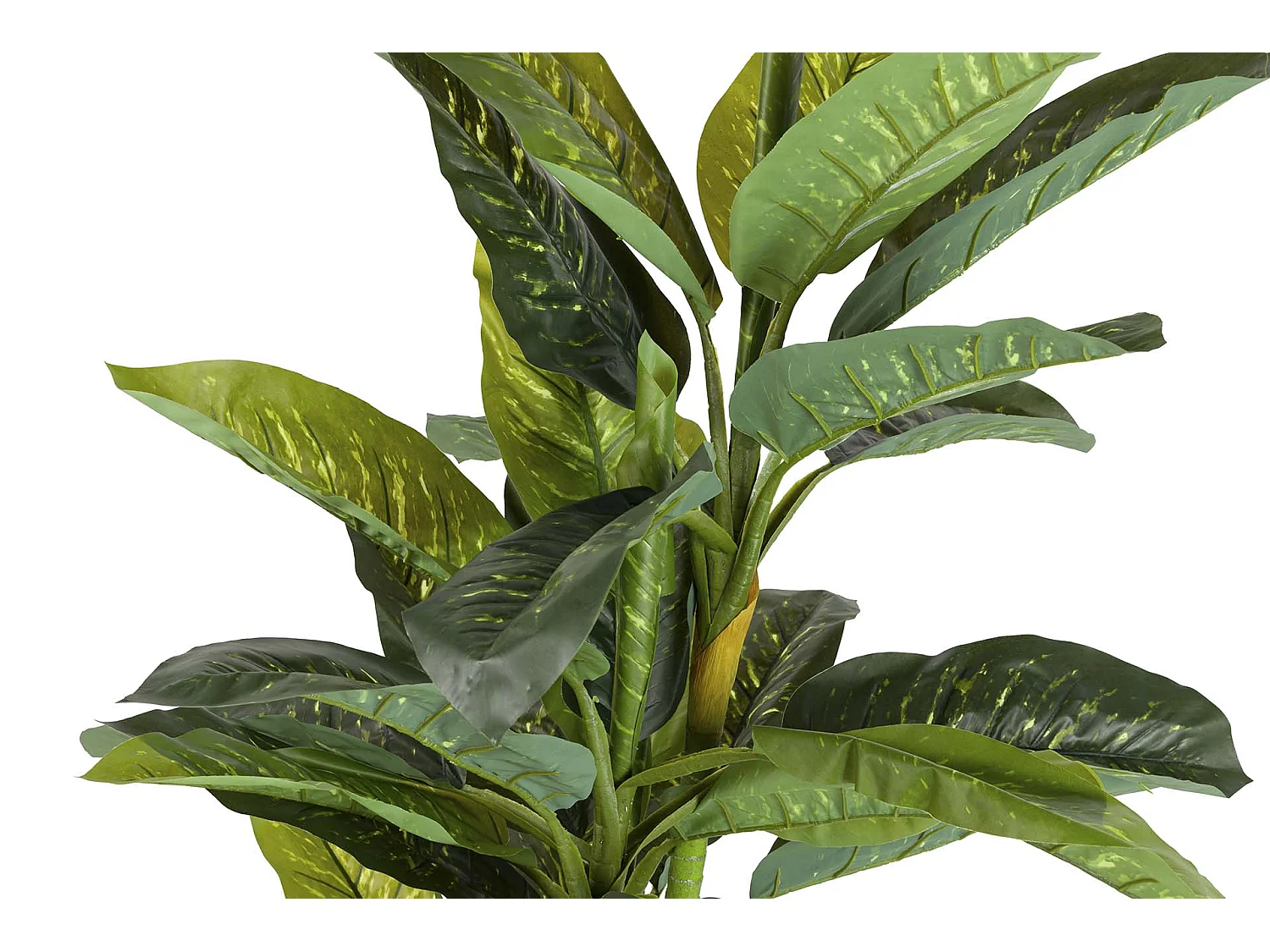 Planta Artificial Dieffenbachia Amoena Con Maceta 70x70x160cm