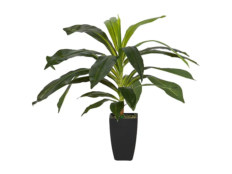 Planta Artificial Dracaena Fragrans Con Maceta 55x55x55 Cm