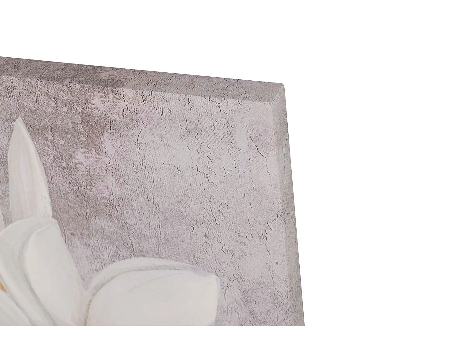 Set 2 Lienzos Flores 40% Pintado A Mano 50x3x70 Cm