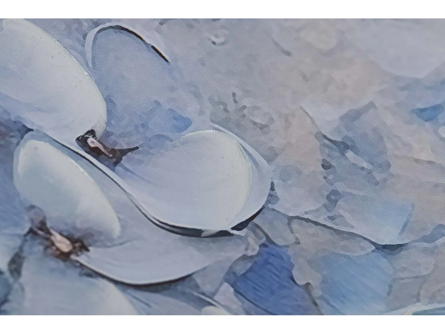 Set 2 Lienzos Flores 40% Pintado A Mano 60x3x60 Cm