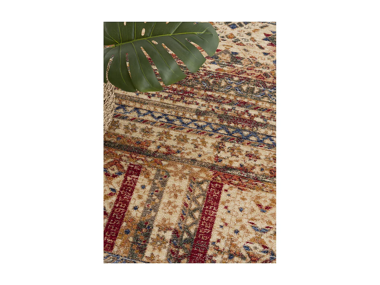 Tapis oriental - OTIKA 28 Multicolore 160*230