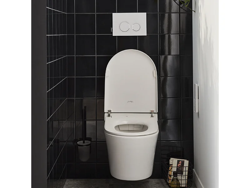 WC lavant sans bride JACOB DELAFON Seine avec télécommande + abattant