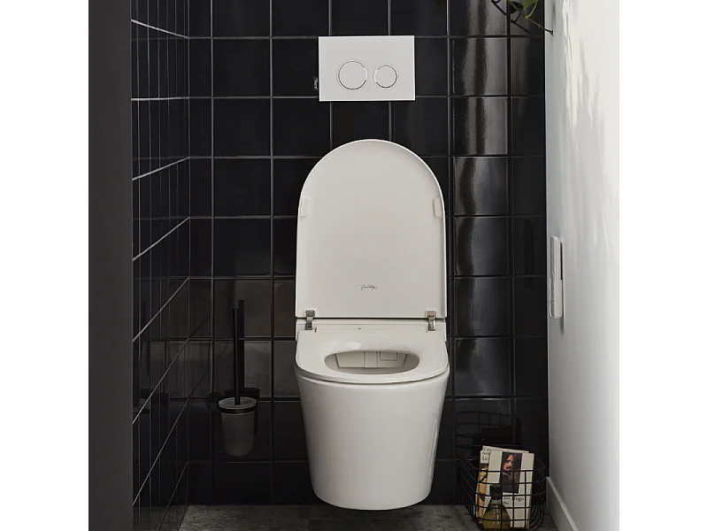 WC lavant sans bride JACOB DELAFON Seine avec télécommande + abattant