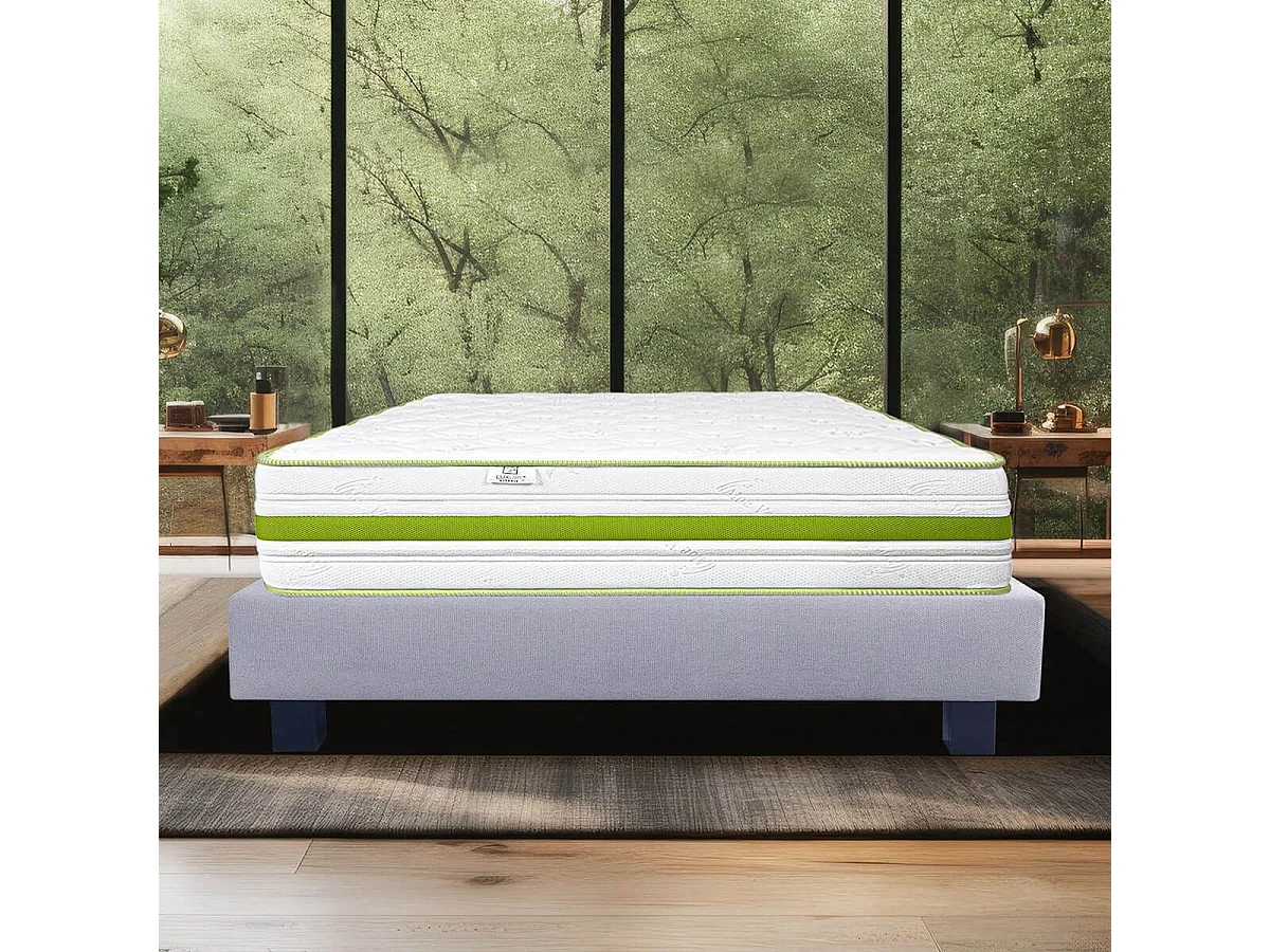 REVA - Ensemble Matelas Mousse Ep.30cm + Sommier Tapissier Gris 160x200 cm