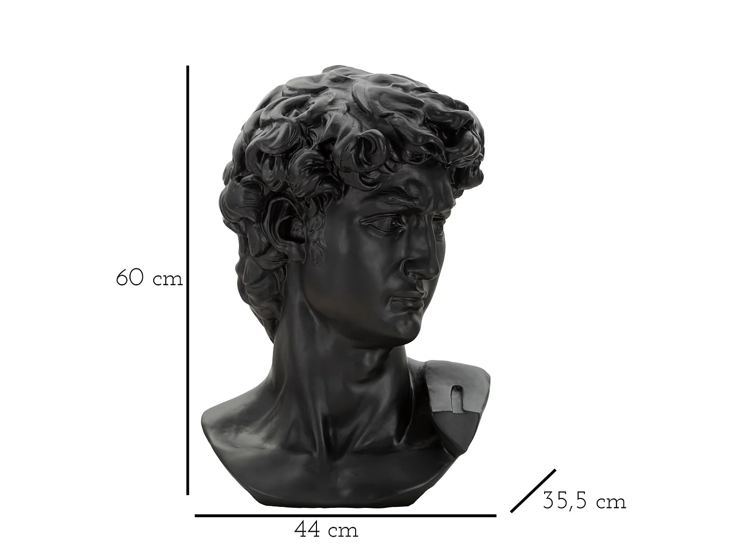 ZWART OUD HOOFDBEELDHOUWWERK 44X35,5X60 CM
