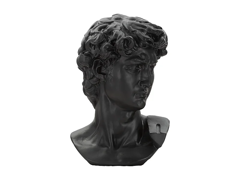 Statue Tête Homme "Irvin" 60cm Noir