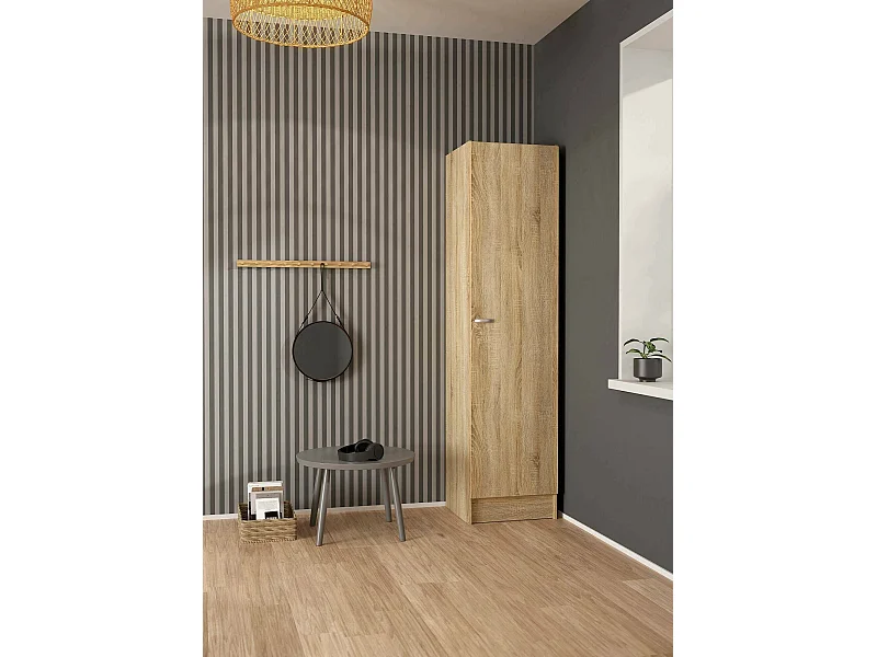 Gran Armario Airone, Muebles de dormitorio, Vestidor, Armario de ropa, 49x47 h200 cm, Roble