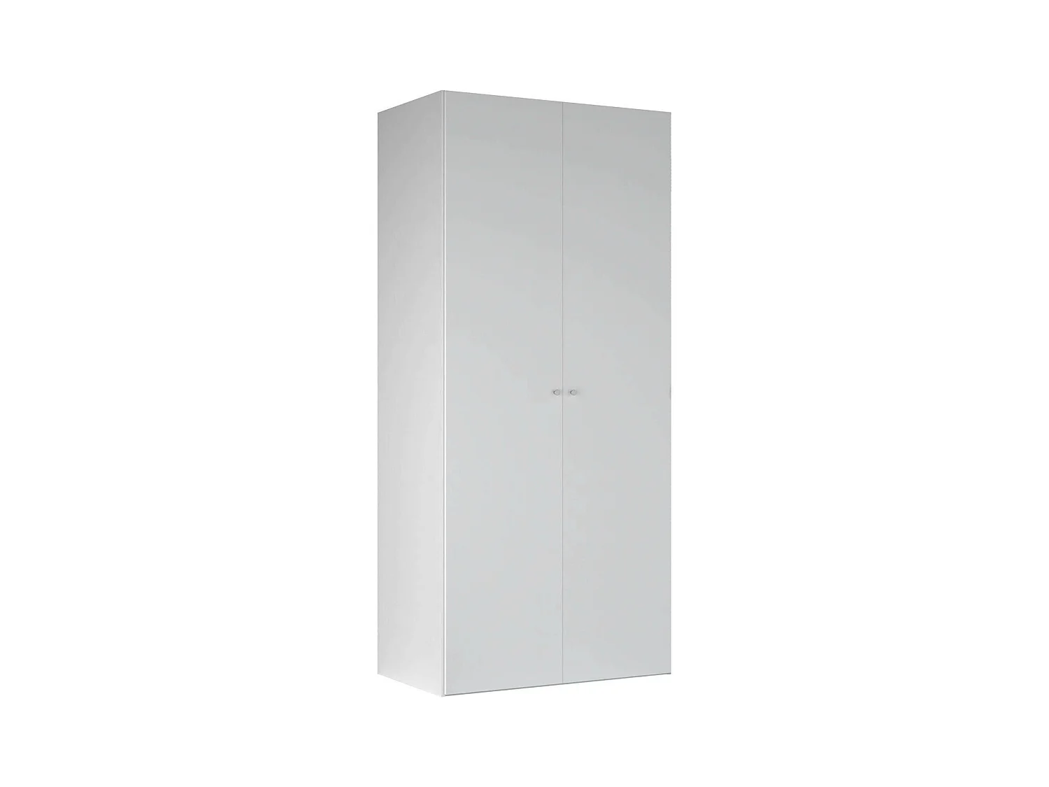 Dmora - Armadio multiuso 2 ante Anagni, 100x60 h219 cm, Bianco