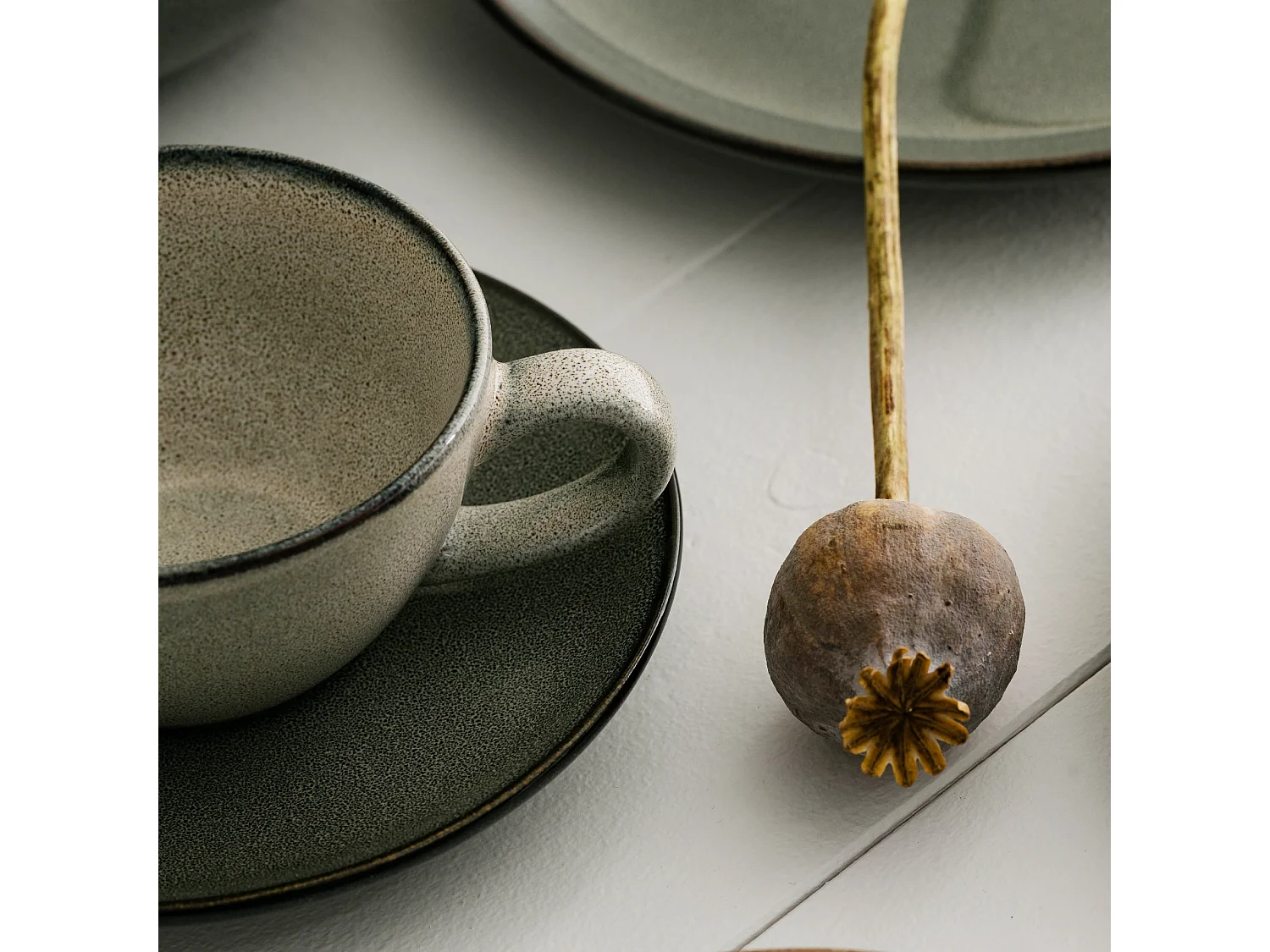 Assiette Plate Dobble vert moyen 3.5 x 27