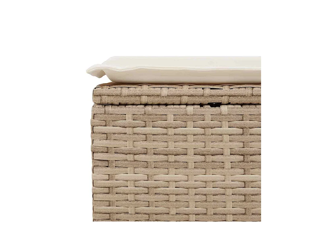 2-tlg. Garten-Sofagarnitur mit Kissen Beige Poly Rattan Akazie